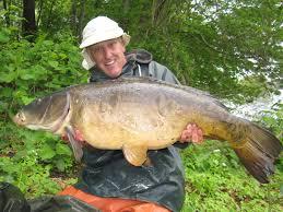 detoate - images-29.jpg